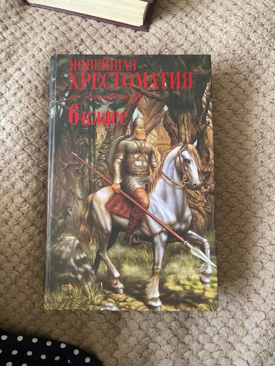 по литературе